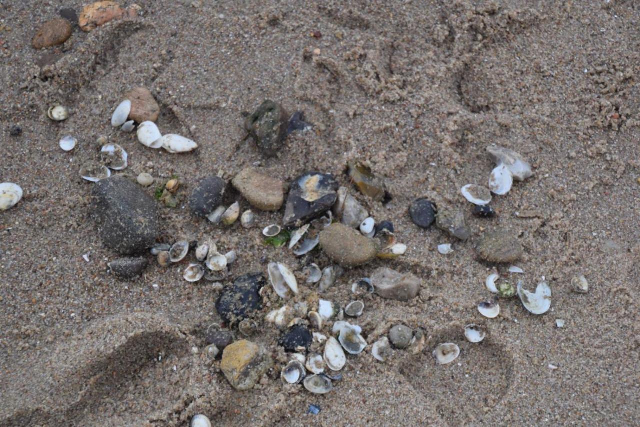 Appartmenthaus Nordlicht Cuxhaven Zewnętrze zdjęcie